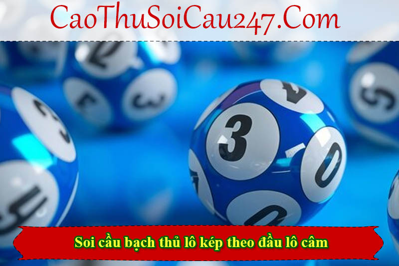 Soi cầu bạch thủ lô kép theo đầu lô câm