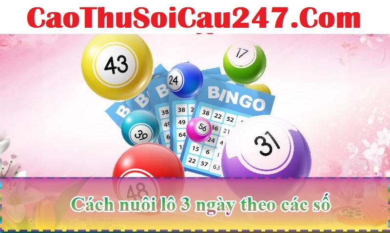 Cách nuôi lô 3 ngày theo các số