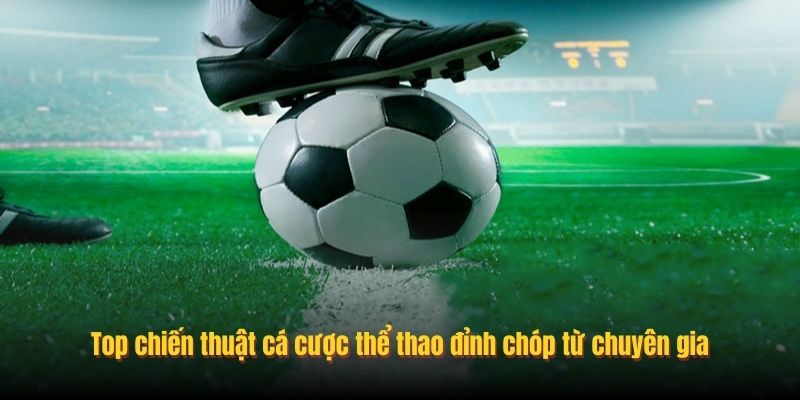Top chiến thuật cá cược thể thao đỉnh chóp từ chuyên gia