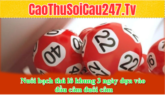 Cách vào tiền nuôi bạch thủ lô khung 3 ngày cho anh em ít tài chính