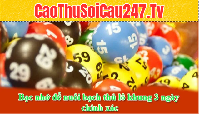 Sử dụng bạc nhớ để nuôi bạch thủ lô khung 3 ngày chính xác