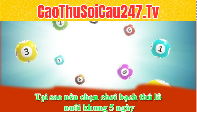 Tại sao nên chọn chơi bạch thủ lô nuôi khung 5 ngày