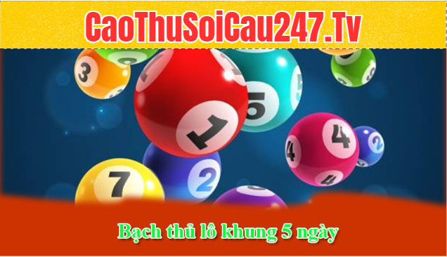 Bạch thủ lô khung 5 ngày là gì