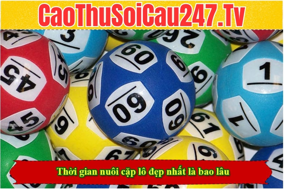 Thời gian nuôi cặp lô đẹp nhất là bao lâu