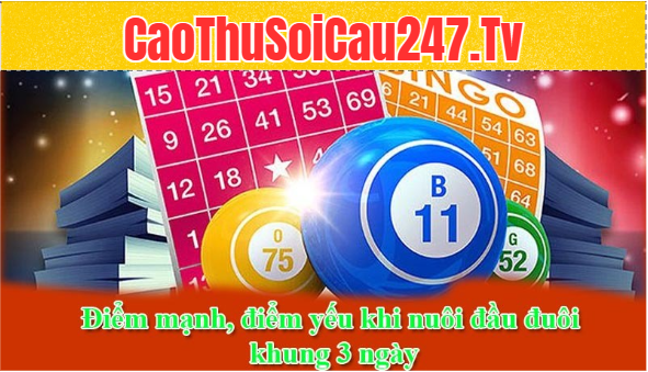 Điểm mạnh, điểm yếu khi nuôi đầu đuôi khung 3 ngày