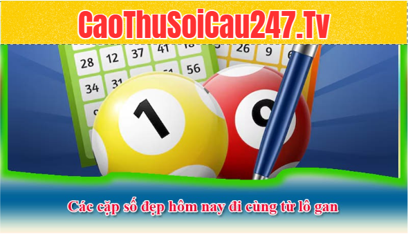 Bắt lô đẹp hôm nay từ các con lô được đánh nhiều nhất