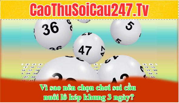 Vì sao nên chọn chơi soi cầu nuôi lô kép khung 3 ngày