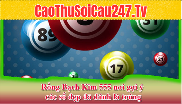 Rồng Bạch Kim 555 nơi gợi ý các số đẹp đã đánh là trúng
