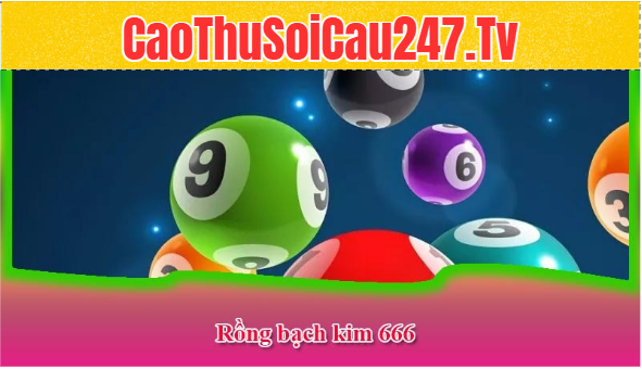 Soi cầu rồng bạch kim 666 là gì?