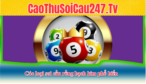 Các loại soi cầu rồng bạch kim phổ biến