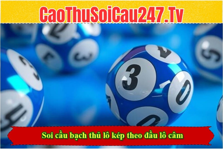 Soi cầu bạch thủ lô kép theo đầu lô câm