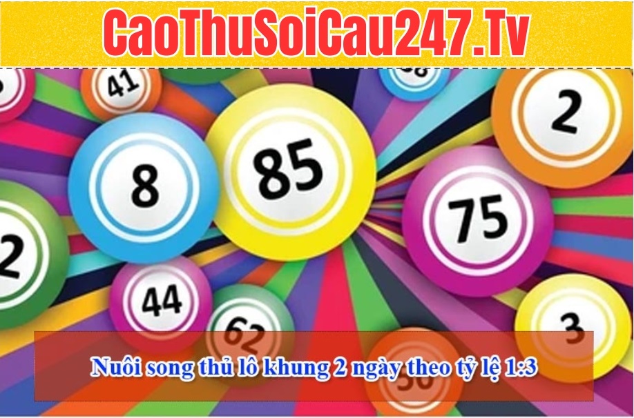 Nuôi song thủ lô khung 2 ngày theo tỷ lệ 1:3